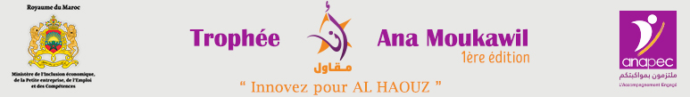ANAPEC : Fiche de Projet au Trophée Ana Moukawil de la Région Al Haouz Novembre 2023